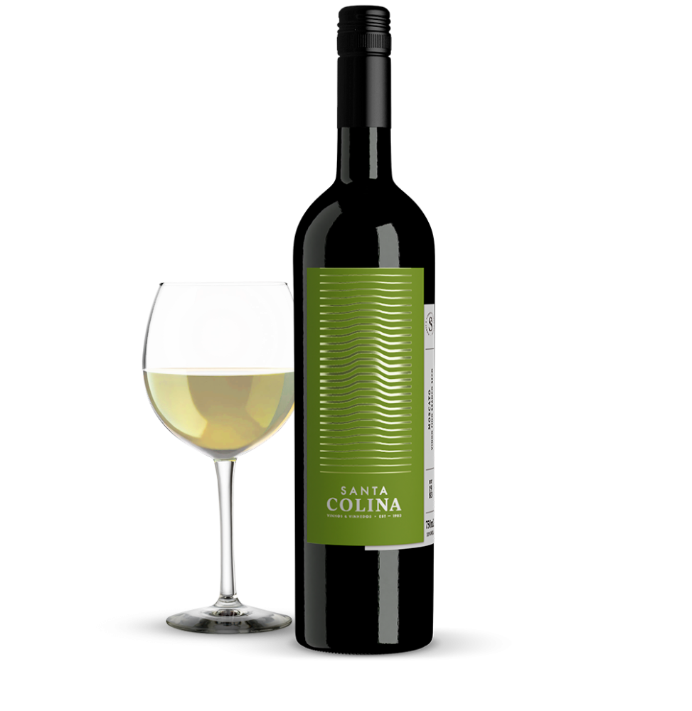 Vinho Santa Colina Moscato Seco 750ml
