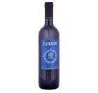 Vinho Salton Para Missa Canônico 750ml